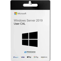 Microsoft Windows SQL Server 2019 Standard CAL