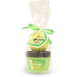 Idc Institute Smoothie Mini Bath Melon coffret 2 pz