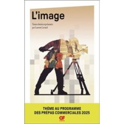 L'image lavaud, laurent Flammarion