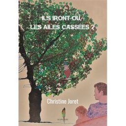 Ils iront où, les ailes cassées ? Christine Joret Le Lys bleu éditions