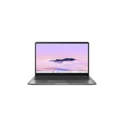 Asus Chromebook C1 Cx1505cta-tv0417 15,6" Full Hd 60 Hz Intel® Core™ 3 8 Go Ram 128 Emmc Gris