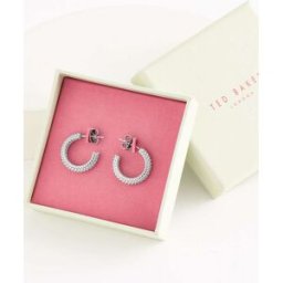 Ted Baker Ted Baker DOTETTA: Boucles d'oreilles à pois argenté Un an