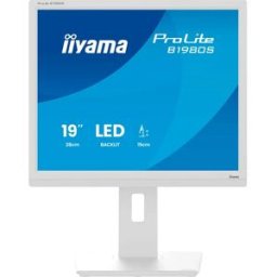 IIYAMA Écran Prolite B1980s-w1 19´´ Sxga Tn Led 75hz White One Size unisex