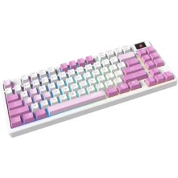 Clavier Gamer sans fil Bluetooth mécanique MSI Forge GK600 TKL RGB (Blanc/Violet)