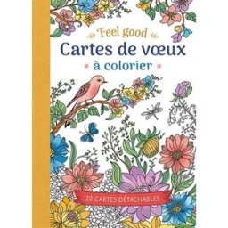Cartes de voeux à colorier : feel good : 20 cartes détachables THEISSEN PETRA, PETRA Chantecler