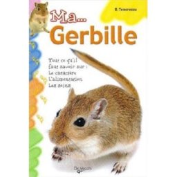 Ma... gerbille : tout ce qu'il faut savoir sur le caractère, l'alimentation, les soins Bruno Tenerezza De Vecchi