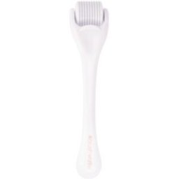 Brushworks Rouleau Micro-Aiguilles