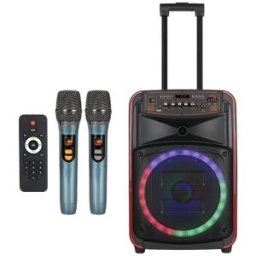 Enceinte De Karaoké Portable 12 Pouces Bluetooth Avec 2 Micros Sans Fil Rgb Yonis
