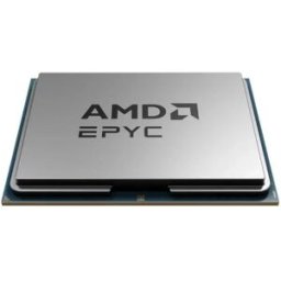 AMD Cpu Epyc 8434p Silver / Green One Size unisex