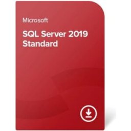 SQL Server 2019 Standard Server Licence serveur Microsoft SQL Server 2019 Standard conçue pour héberger des bases de données et applications