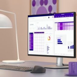 Dell P2425HE Écran LED 24'' USB-C Écran professionnel Full HD de 24 pouces avec hub USB-C intégré, ergonomie avancée et connectivité complète pour les
