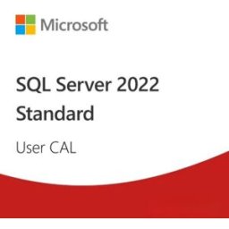 SQL Server 2022 User CAL Licence d'accès Microsoft 2022 USER permettant à un utilisateur désigné nommément d'accéder aux instances SQL