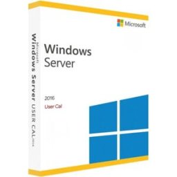 Microsoft Windows Server 2016 CAL User Licence Windows Server 2016 autorisant l'accès au serveur à une seule personne, idéal pour une personne