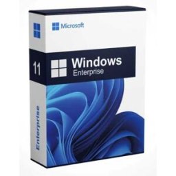 Microsoft Windows 11 Enterprise LTSC Upgrade Mise à niveau Windows 11 Enterprise LTSC stable à long terme sans mises à jour de fonctionnalités