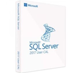 SQL Server User CAL 2017 Licence d'accès Microsoft SQL Server 2017 User permettant à un utilisateur désigné nommément d'accéder au logiciel