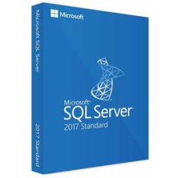 SQL Server 2017 Standard Server Licence serveur Microsoft SQL Server 2017 Standard destinée aux entreprises recherchant une solution de base