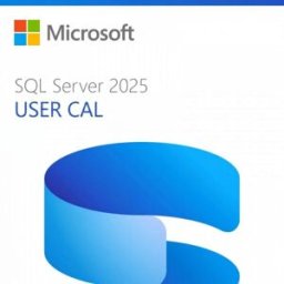 SQL Server 2025 User CAL Licence d'accès par utilisateur pour Microsoft SQL Server 2025, permettant une utilisation flexible et sécurisée