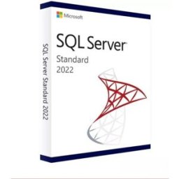 Microsoft SQL Server 2022 Standard Logiciel de base de données relationnelle performant destiné aux entreprises pour la gestion, l'analyse et le