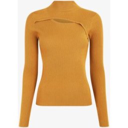 stand-prive.com Pull col montant et décolleté ajouré - Moutarde moutarde 36/38 female