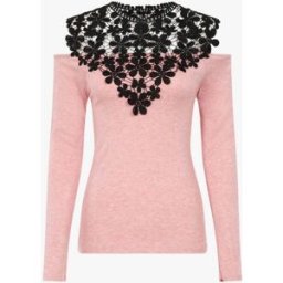 stand-prive.com Pull à plastron dentelle et épaules dénudées - Rose rose 36 female