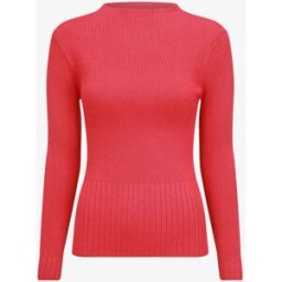 stand-prive.com Pull uni côtelé à col montant - Rouge framboise rouge-framboise T.U female