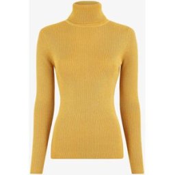 stand-prive.com Pull col roulé ajusté et irisé - Moutarde moutarde T.U female