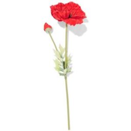 HEMA Fleur Artificielle Pavot 55 Cm Caoutchouc Rouge (rouge)