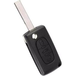 INF Coque de clé compatible avec Citroën Sega C4 / Peugeot 307 et 308 - ABS et métal, lame non coupée, support pour pile