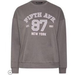 Yours Curve Yours Curve Sweat-shirt Cinquième Avenue Gris FR 40-42 (EU 38-40)