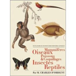 Les planches du Dictionnaire d'histoire naturelle : mammifères, oiseaux, poissons & coquillages, ins Charles d' Orbigny Bibliothèque de l'image