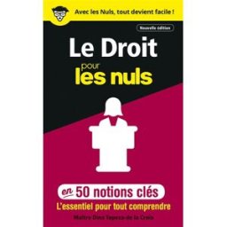 Le droit pour les nuls : en 50 notions clés : l'essentiel pour tout comprendre Dina Topeza Topeza de La Croix First Editions