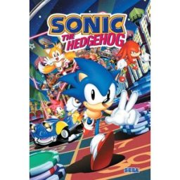 Sonic the hedgehog Ian Flynn, Aaron Hammerstrom Vesta