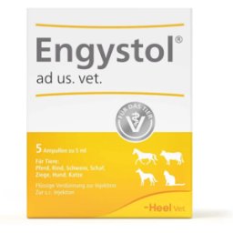 Heel Engystol ad us. vet. Ampoules (5 pcs)