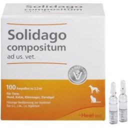Heel Solidago compositum ad us vet. Ampoules (100 pc)