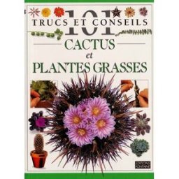 Cactus et plantes grasses Terry Hewitt Mango-Pratique