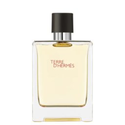 HERMÈS - Terre d'Hermès Eau de Toilette Vaporisateur 100 ml 03 - Kapao Parfumerie en ligne française