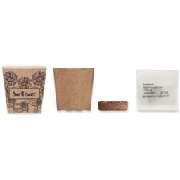 Kit de tournesol personnalisé SUNFLOWER KIT beige