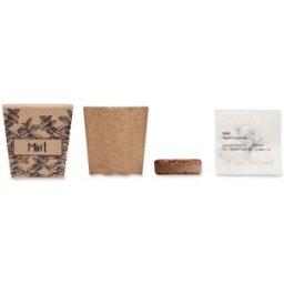 Kit publicitaire de graines de menthe MINT KIT beige