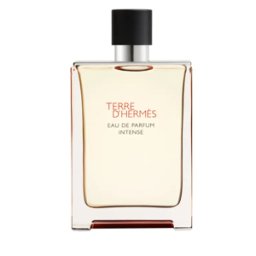 HERMÈS - Terre d'Hermès 175 ml 04 Eau de Parfum Intense Vaporisateur Rechargeable - Kapao Parfumerie en ligne française
