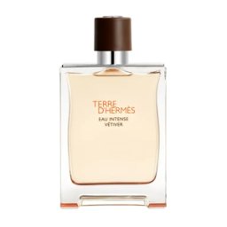 HERMÈS - Terre d'Hermès Eau Intense Vétiver Eau de Parfum Vaporisateur 200 ml 03 - Kapao Parfumerie en ligne française