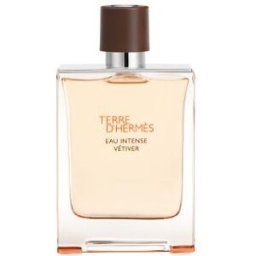 HERMÈS - Terre d'Hermès Eau Intense Vétiver Eau de Parfum Vaporisateur 100 ml 02 - Kapao Parfumerie en ligne française