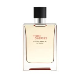 HERMÈS - Terre d'Hermès 100 ml 03 Eau de Parfum Intense Vaporisateur Rechargeable - Kapao Parfumerie en ligne française