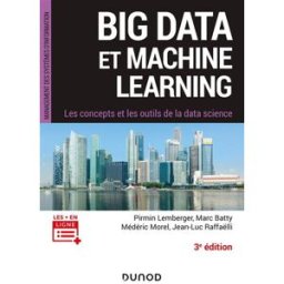 Big data et machine learning : les concepts et les outils de la data science pirmin lemberger, marc batty, médéric morel, jean-luc raffaëlli Dunod
