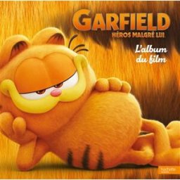 Garfield : héros malgré lui : l'album du film Paramount Hachette Jeunesse
