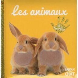 Les animaux : à toucher Léa Thomattéo Langue au chat