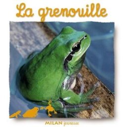La grenouille Natacha Scheidhauer-Fradin, Paul Starosta Milan jeunesse