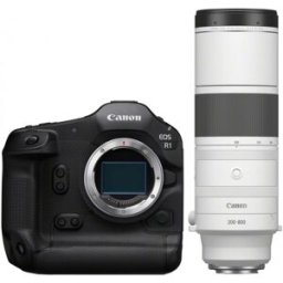 Canon EOS R1 + RF 200-800mm f6,3-9 IS USM