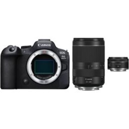 Canon EOS R6 II + RF 24-240 mm f/4,0-6,3 IS USM + RF 50 mm f/1,8 STM