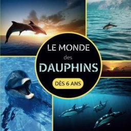 Le Monde des Dauphins dès 6 ans: Livre documentaire animalier sur les dauphins pour les enfants à pa Jeunesse, Nat Independently published