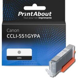 PrintAbout Cartouche compatible Canon CCLI-551GYPA - Gris Gris